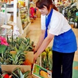 東南植物楽園